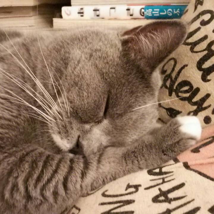 08df80dd 15b5 4b01 9f6b f640bead577d 1572183697348