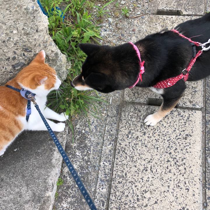 08df9b12 5cbe 40c2 97b1 8eca78b78ede 1563405869951