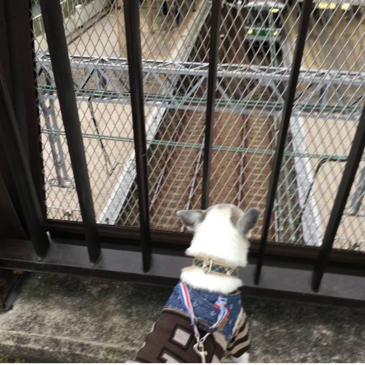 08dfd8a9 05d5 4036 9806 77269e275f8c 1764628949477