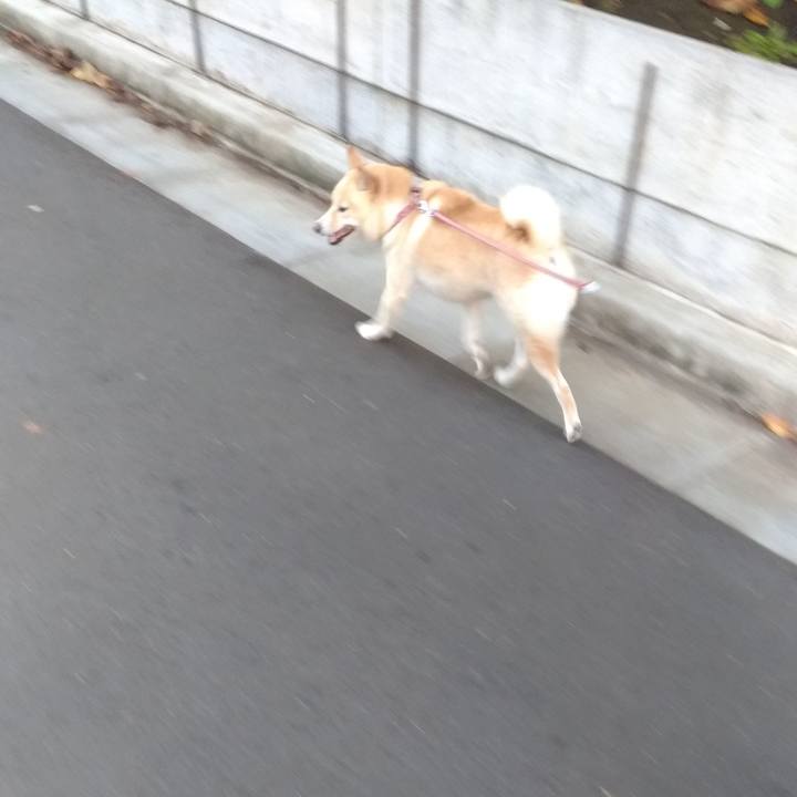 08dfddd6 475d 4b64 ab89 e3f14827c925 1604960523136