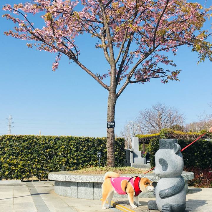 08e06fac 16d5 4f1a 8a64 92ebb485e14d 1772791010407