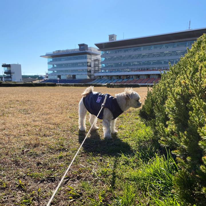 08e07b9e 4841 4f35 9e9c 4c3c6f7eb666 1577507591089