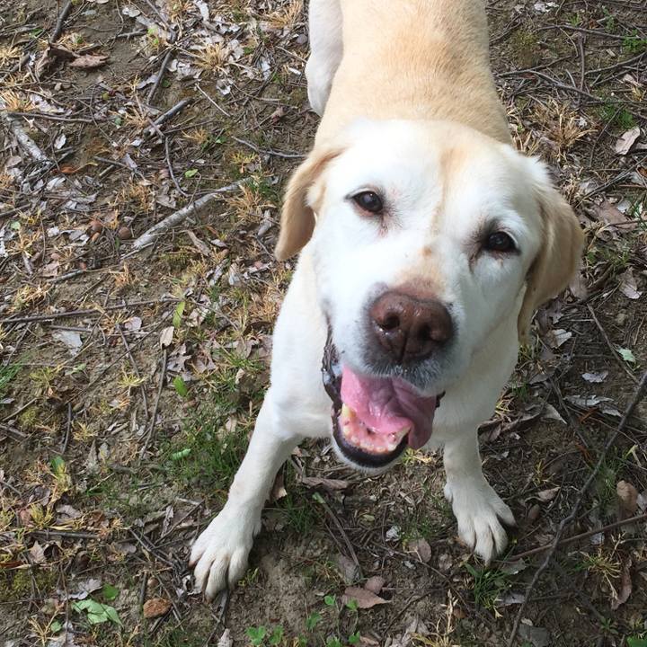 08e083c6 f69d 4be7 8e4b 3672cbd8657d 1559369895324