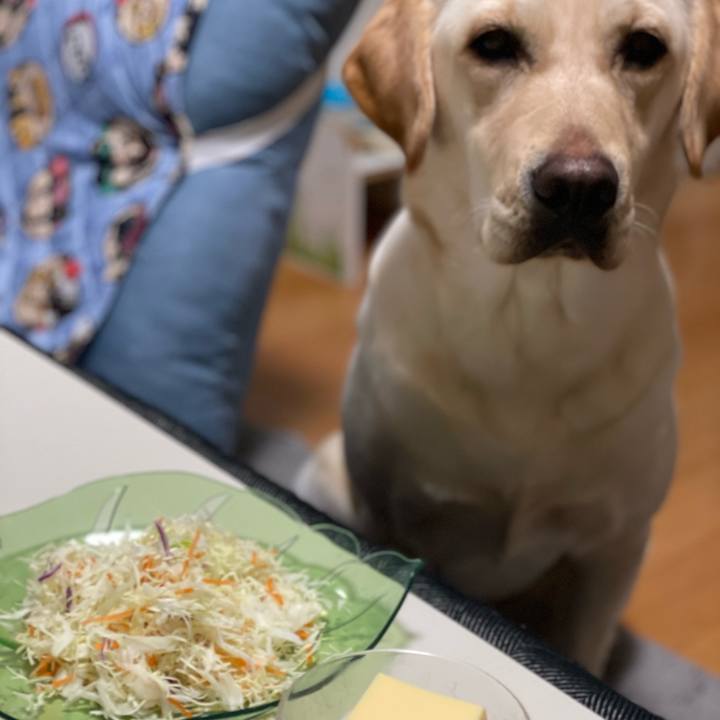 08e09754 7d24 457e a27a 08975f168e65 1646909991850