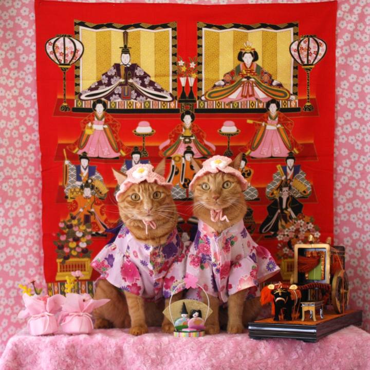 08e0a872 2985 494b a196 5f1d2e713d2d 1772454629980