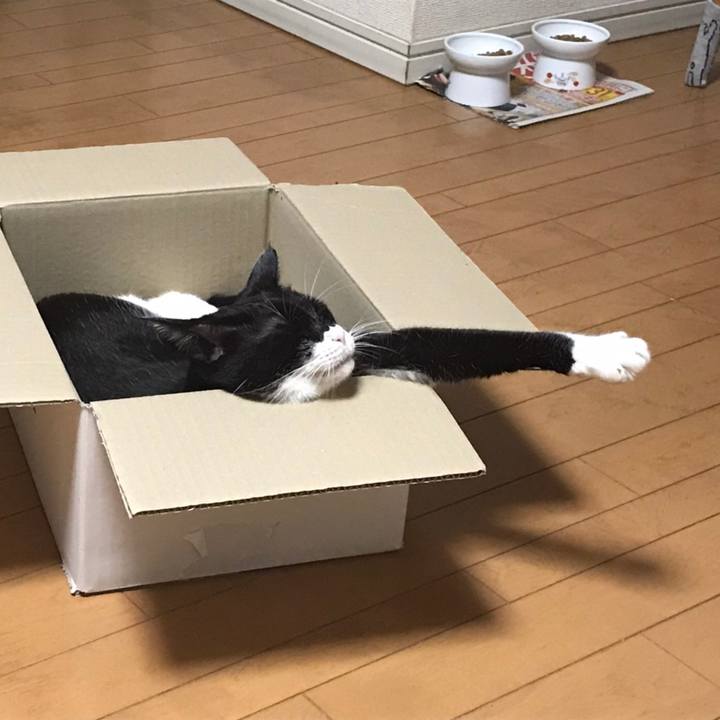 08e1017f 7362 46a1 b6a5 b9c8d9ba20d3 1606044422436