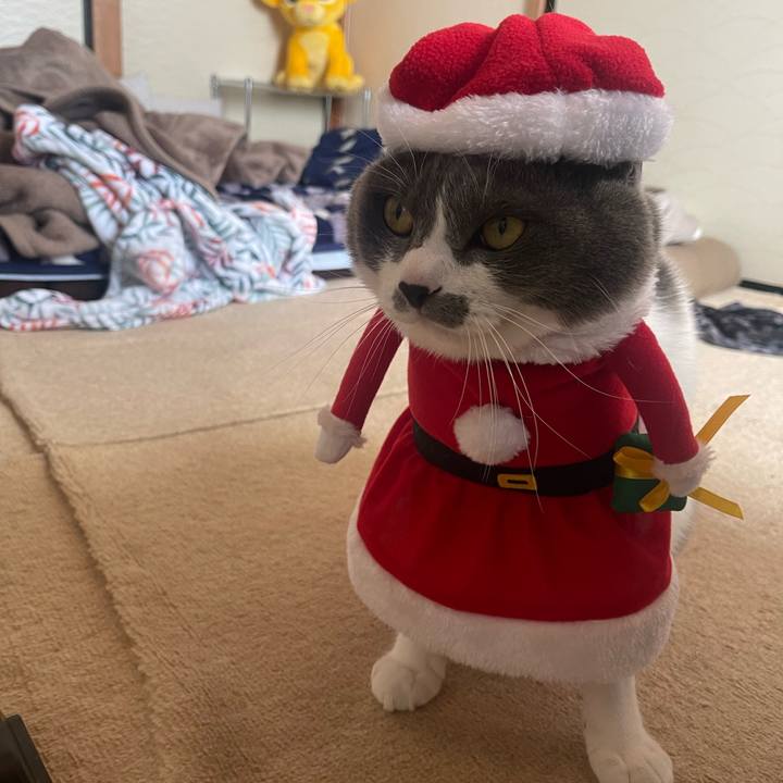 08e10548 11c4 41cf 9ce9 1c6cdb7c5069 1671860668326