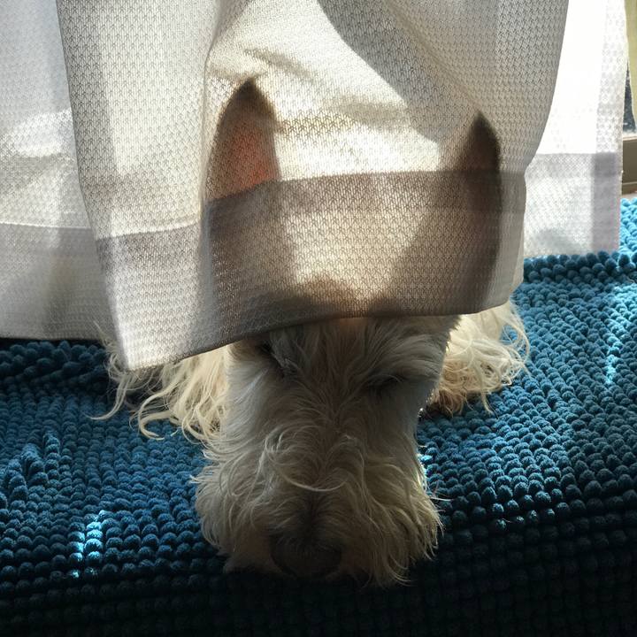 08e10e5d 6e3d 417e 9f01 e4bdd5c8544c 1526110542131