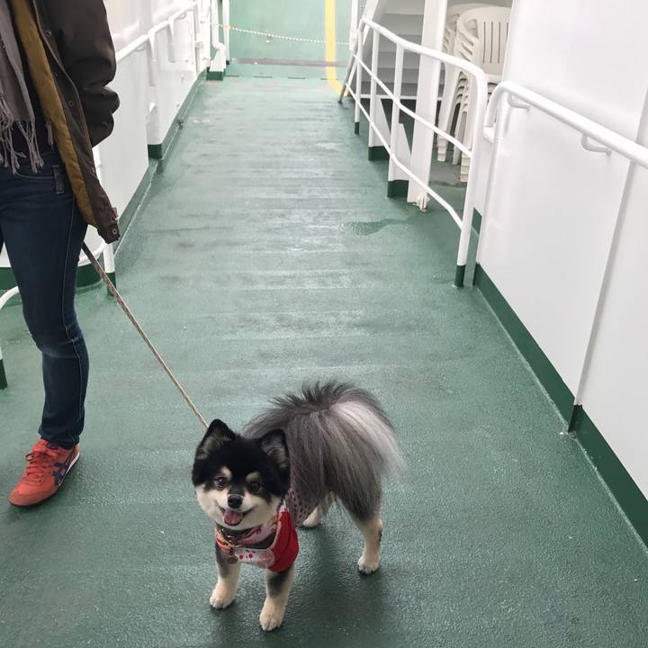 08e1108b 7147 47af b395 f1a3dc40c2e5 1542538986398