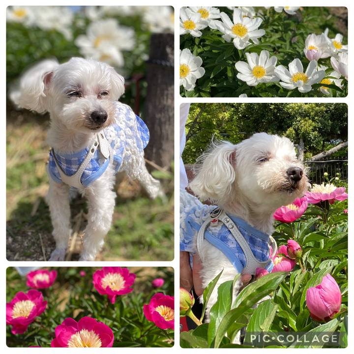 08e11cdf fb39 4fc6 a085 95da835dc6ab 1746269561076