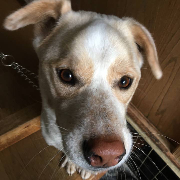 08e11d2e e20f 4be6 846d 753c90d4764b 1524818929985