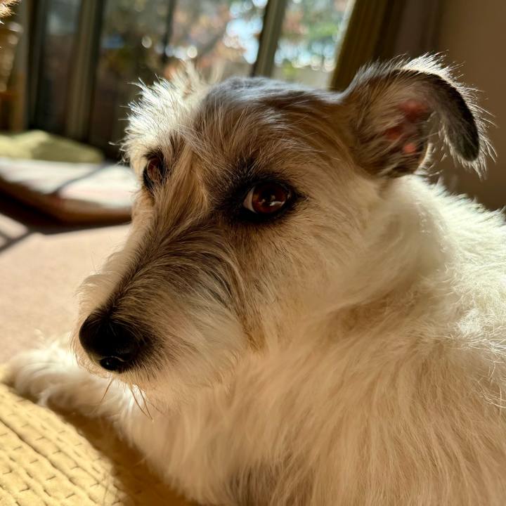 08e192da f249 4056 9279 cbeaaeba8296 1763187273685