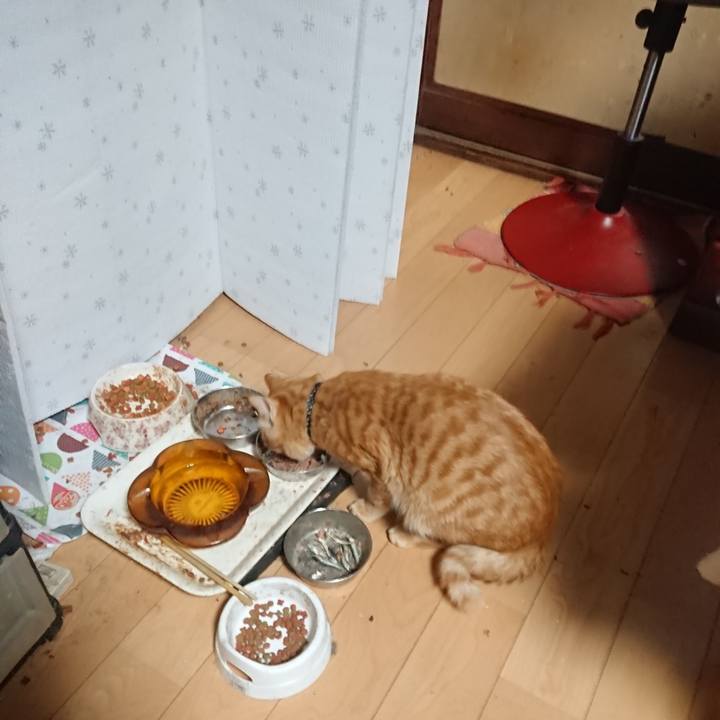 08e1e529 2766 4ad3 81ed 908190857960 1645649735444