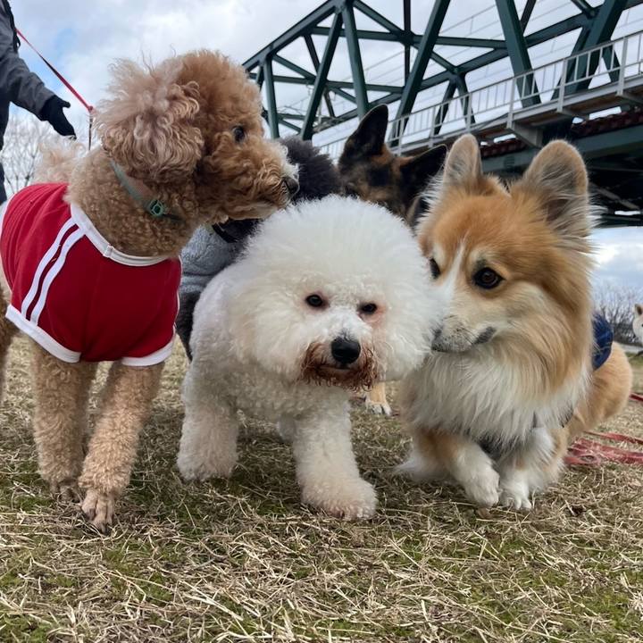 08e1ea09 ab73 4229 b2fe a2708110e653 1768399644559