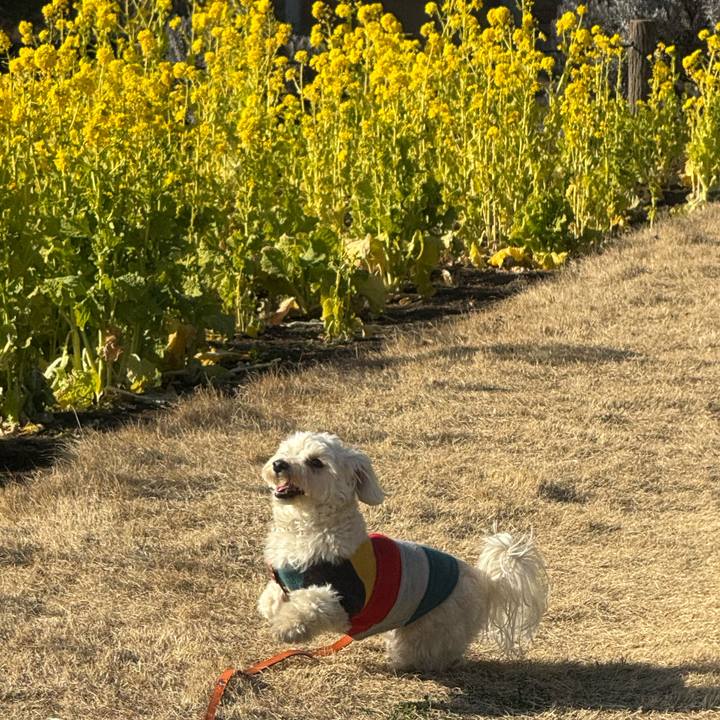 08e1fc1d dd15 46d9 829b ad299f8bfb67 1769837523236