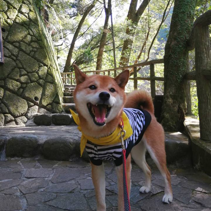 08e22cae 3cba 4c60 a97c 126fb0d2357b 1581165154153