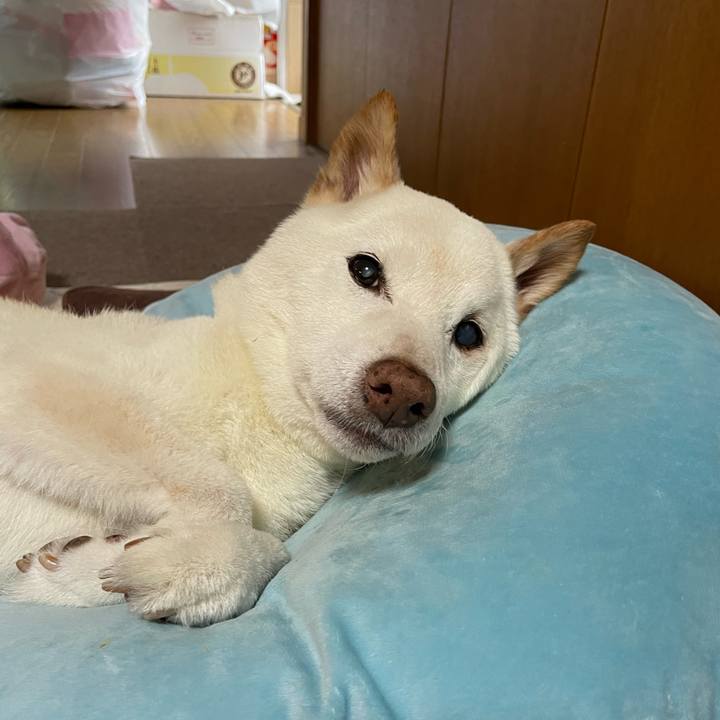 08e2561b 0880 4258 81c8 a2de9335789d 1663479512292