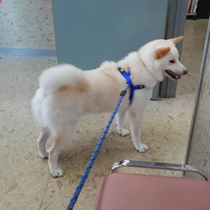 08e25c05 4614 4ace b283 8811b50e51ae 1531497579957