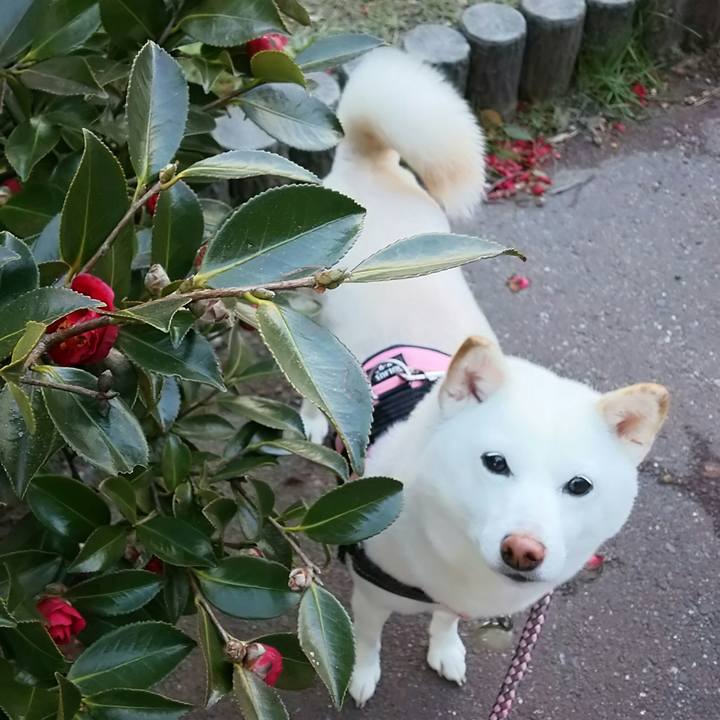 08e283b2 8c9d 4341 b3a5 754809f6891e 1519981658486