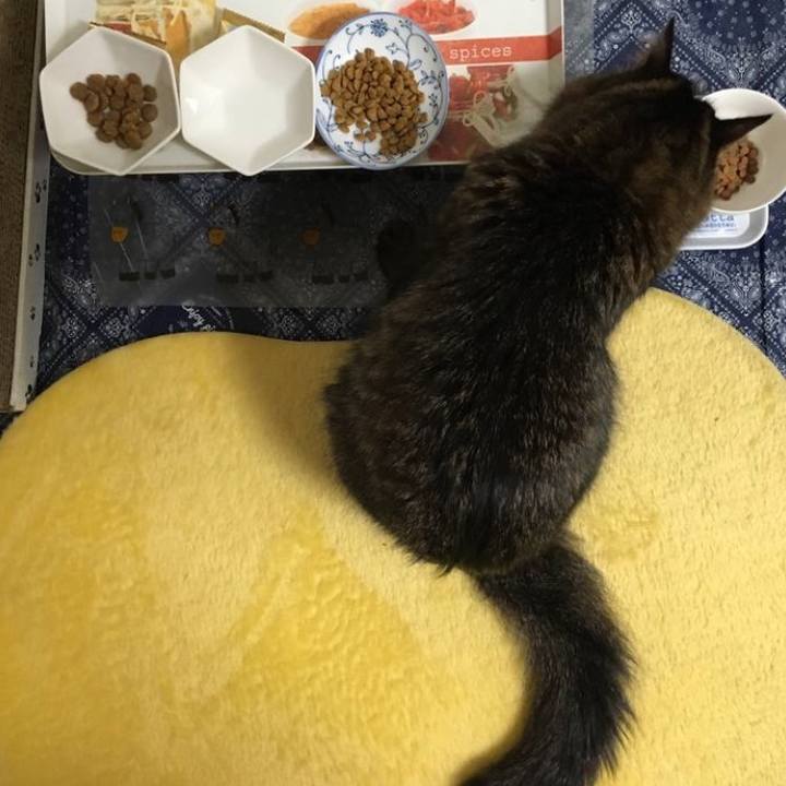 08e28d86 5aa3 4bcc 8988 d522078acbf5 1768451325533