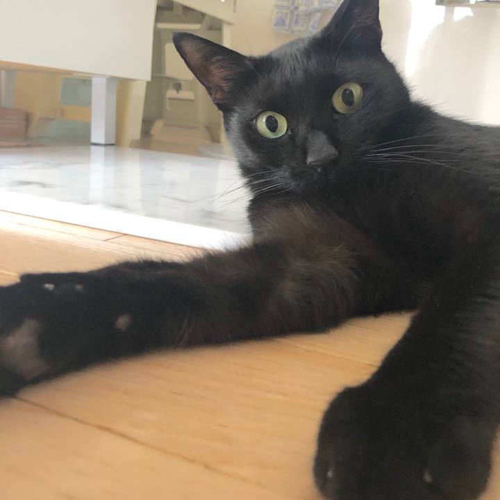 08e29394 b7ab 4244 9403 5a0604d93eee 1534644046974