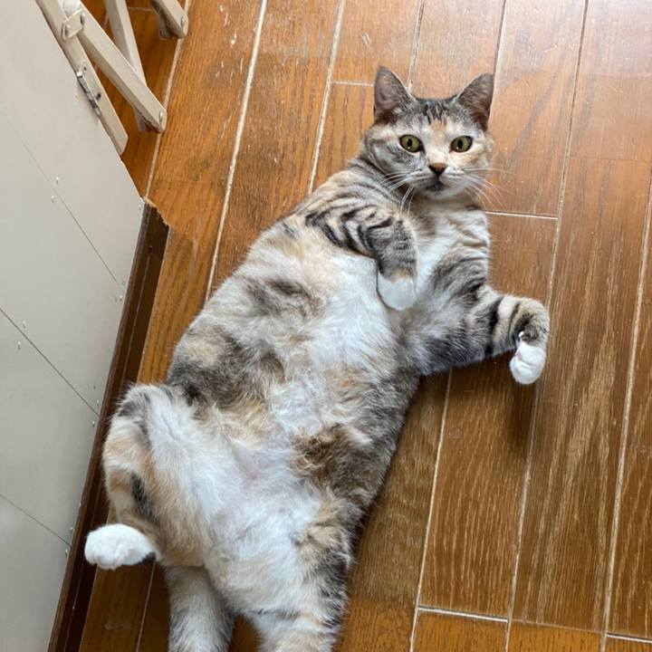 08e29edc fcda 4d95 ac43 cf52048d162e 1622987911385