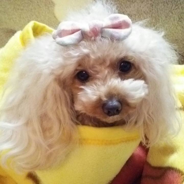 08e2af98 e106 445a b186 9184f013f50e 1516017422030