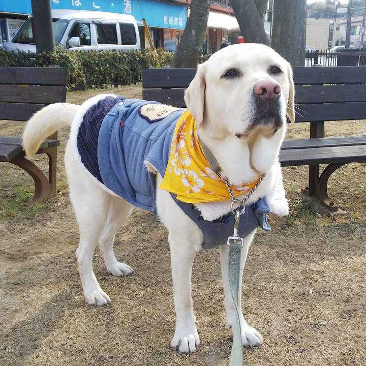 08e2bae2 68c5 4281 becd dfb464fb933e 1548469750367