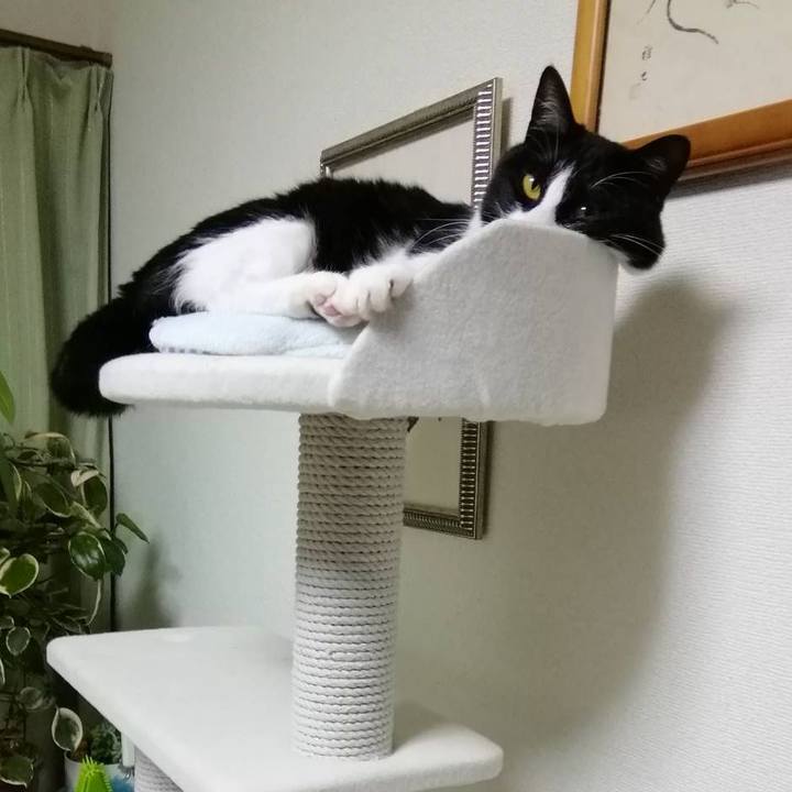 08e2e0d7 f29f 4919 ab5f 378dbe96467a 1555940041539