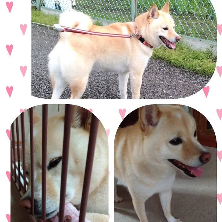 08e2eaea 3ab0 4f91 98d4 3eebedebd577 1594554372634