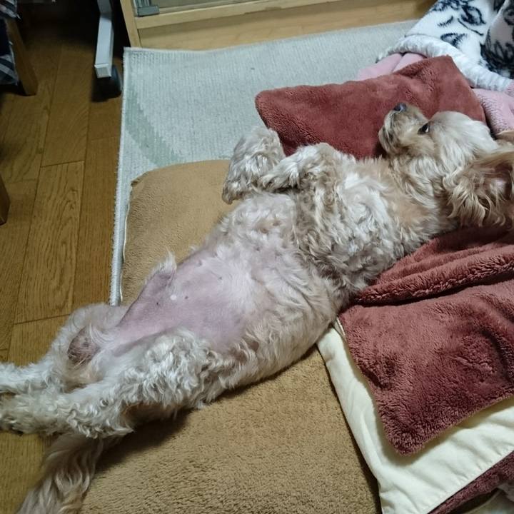 08e2fea3 9654 428e 9eaa d4a4ff5fc61e 1577016848425