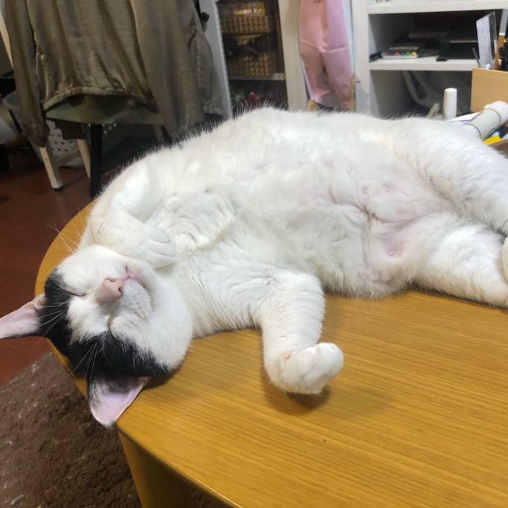 08e302f6 016f 4ab9 844f 5423a87b4e99 1591101235872