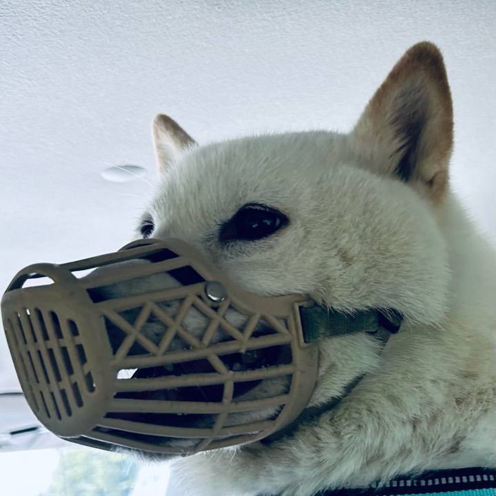 08e31242 4016 452f 82ac 8edd229f4040 1685128984173