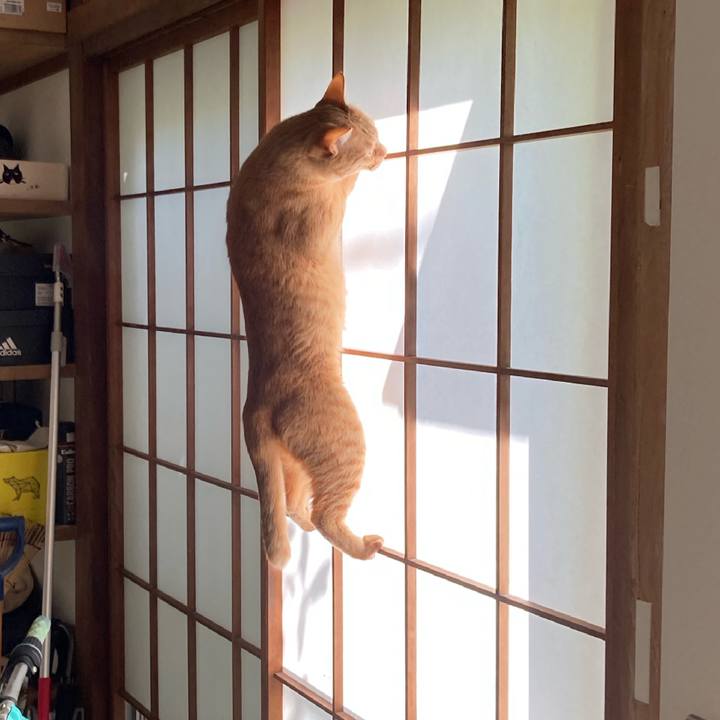 08e319ce 502e 4306 be10 ff034ee61e3e 1618041977967