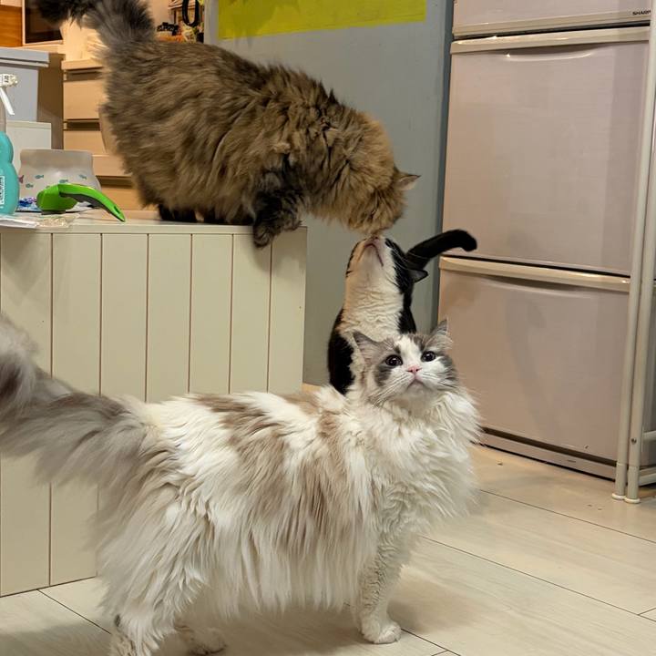 08e36d05 55ee 4908 abc1 2f66b5e59103 1771938768776