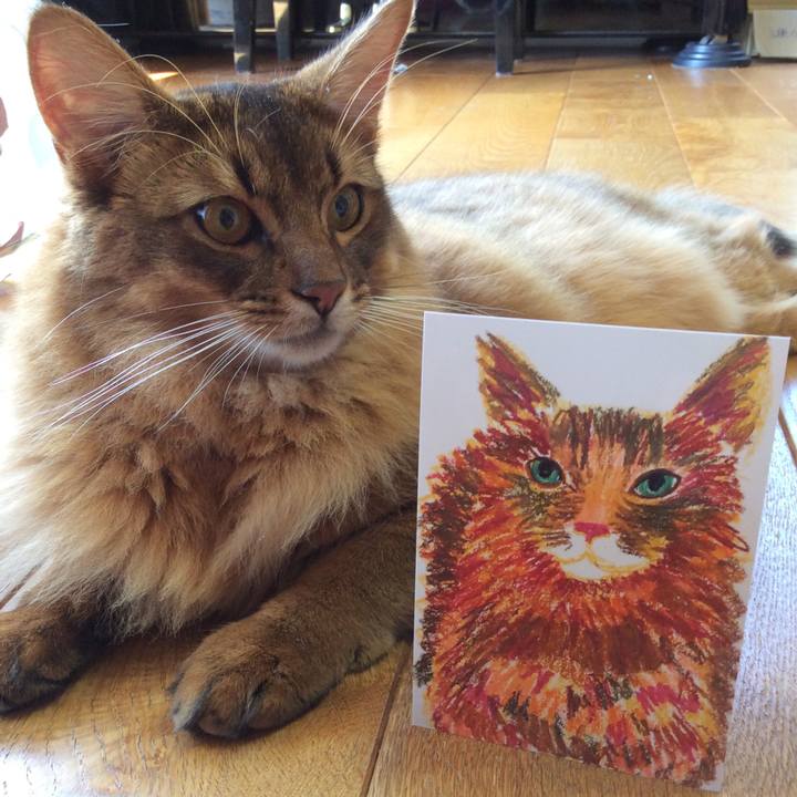 08e37d7b 5705 4088 b4f5 98de45e1f3e2 1597454578518