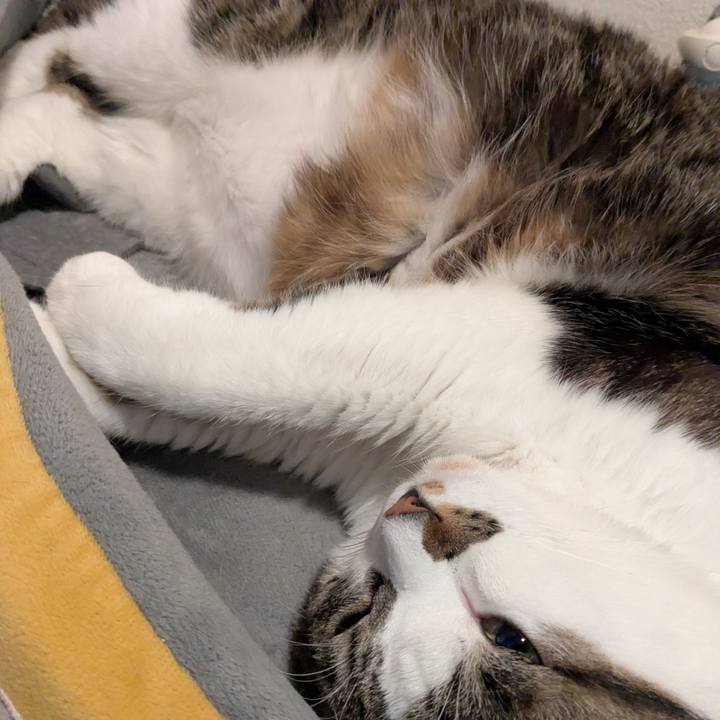 08e3c420 3f6c 4f86 93db 8c02e15326b8 1768908499436