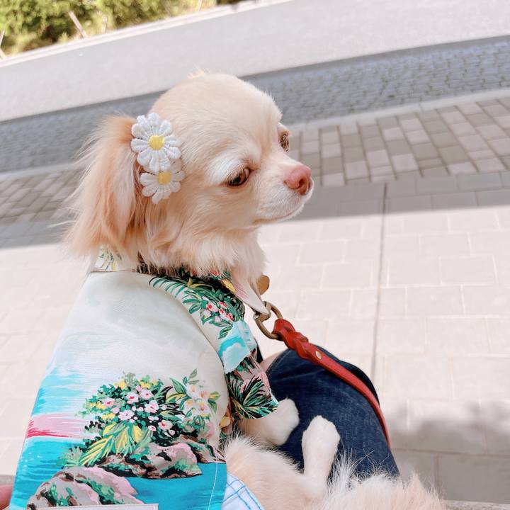 08e3f0fa 9d85 4ac8 b9d6 530111344680 1655194453616