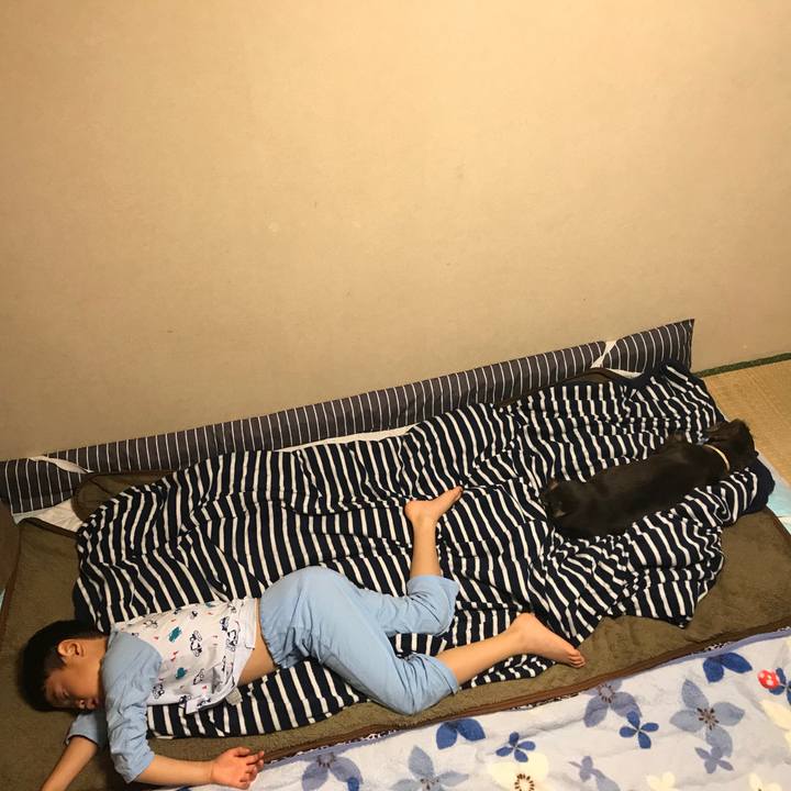 08e3f2a1 1882 4680 a751 c083e9f47f76 1525355364278