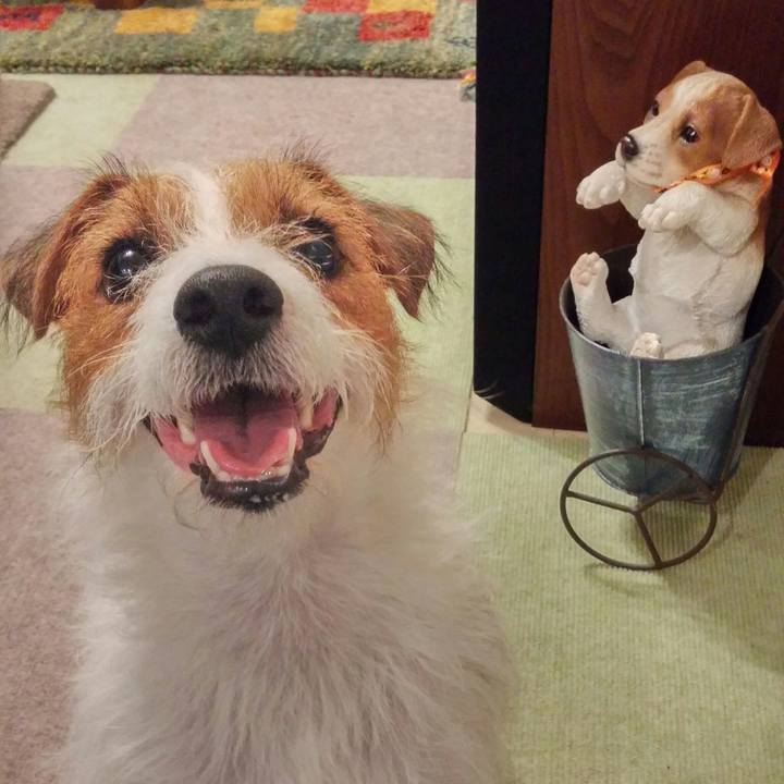 08e3f6ed 5e2c 4a64 9473 b1c79c204d6d 1538056120876