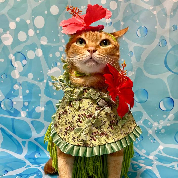 08e3fded cf5a 4ed1 9a15 181cf885071d 1721253489684