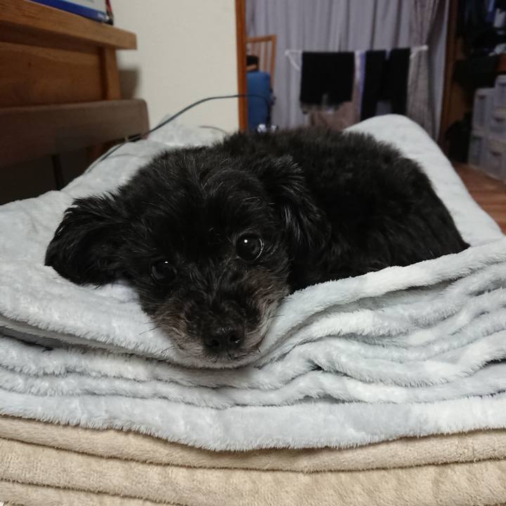 08e40629 8822 4d6e 8766 bbbb78fc4fd9 1547316960373