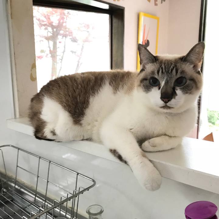 08e467cd 9558 454a 9733 f52aa8dbfb7b 1524450676910