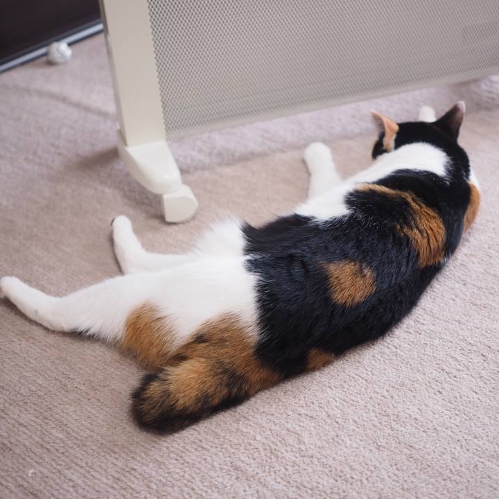 08e46c8d 4c68 4359 ae00 06727a370f14 1517751012952