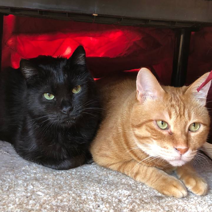 08e4b9f3 e6de 4879 96c5 8e9579772375 1621981206693