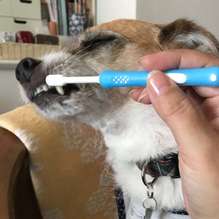 08e4e04f 141e 4a1b a688 1efbf27366c8 1570269607564