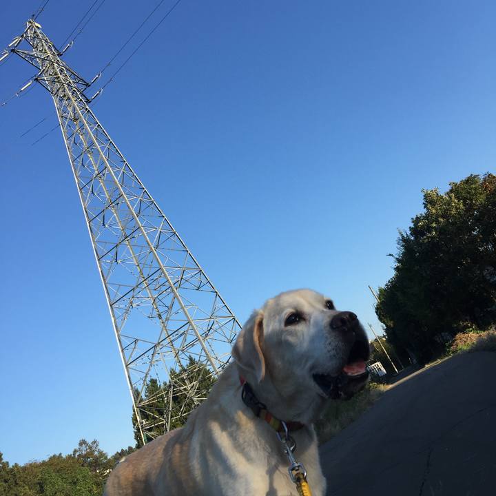 08e4eba9 f697 4ea3 8c0f eeb8dbfe17a5 1541286826663