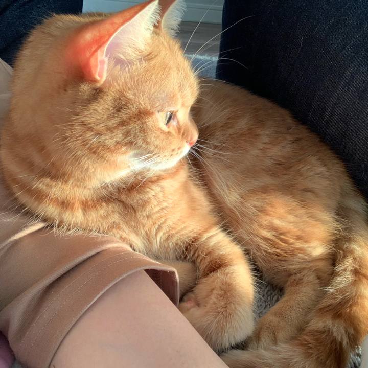 08e4f8ae a030 4d29 acf5 150df3a3f556 1637304489387