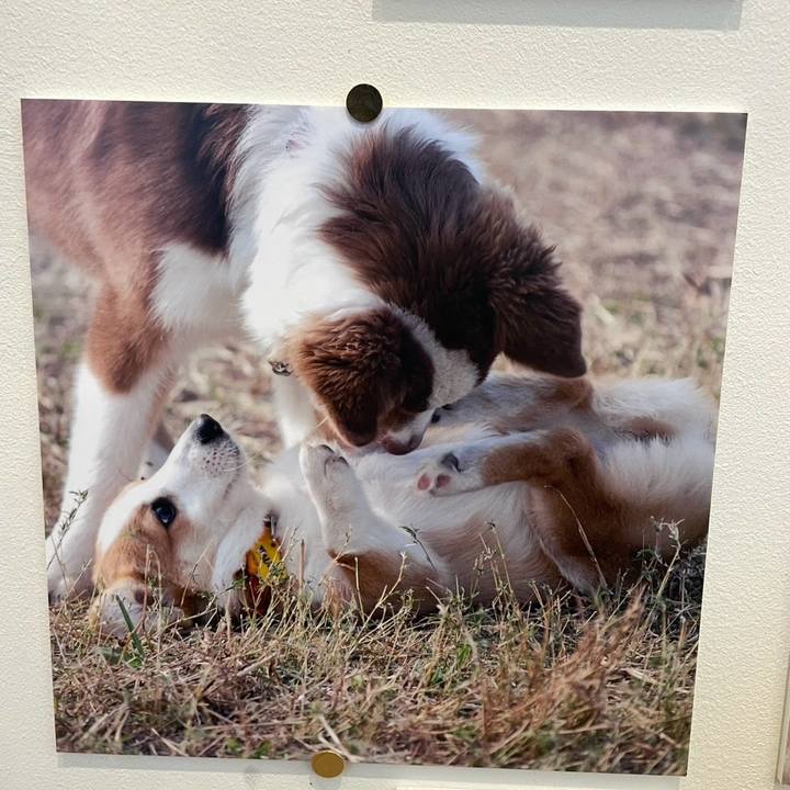 08e519db bf6f 461c 8e06 db6ae7dce0ce 1766210869501