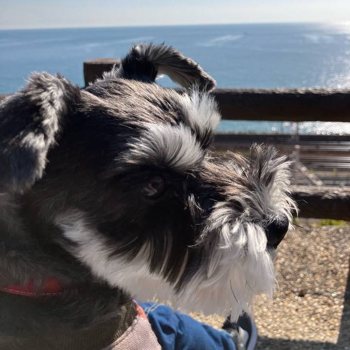 08e52a8e 9633 4e5c 9748 b58665882144 1764475453559